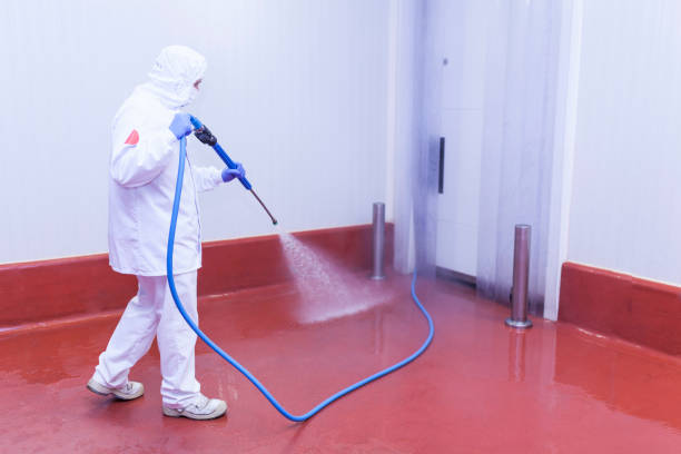 Best Patio and Deck Pressure Washing  in Greensboro, GA